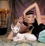 Chovatelska stanice ps�: ARTEMIDE, CZ