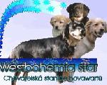 Chovatelska stanice ps: WESTBOHEMIA STAR