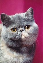 Chovatelska stanice ps�: MAYLILY